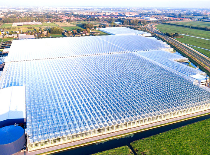 山东鼎欣温室工程有限公司